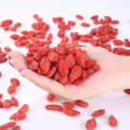 Factory priceBerry Goji Dried Goji Berries